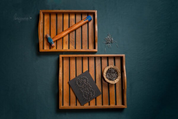 Trayo Tray (Set of 2)