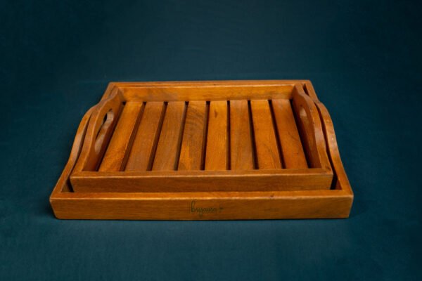 Trayo Tray (Set of 2) - Image 4