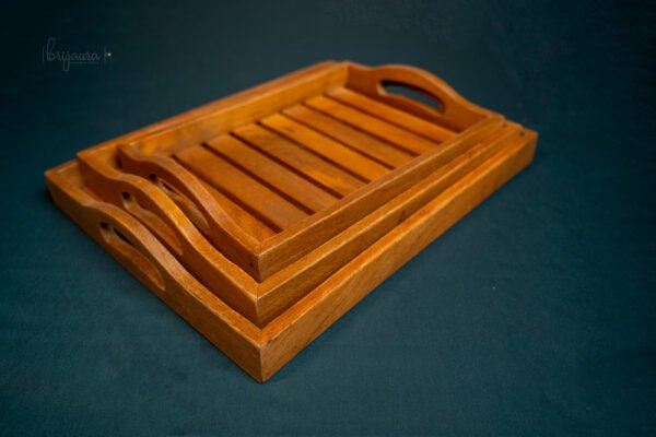 Trayo Tray (Set of 3) - Image 3