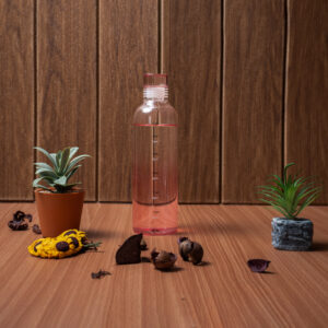 H2O Borosilicate Glass Bottle with Leak-Proof Lid, 500ml, Eco-Friendly (PINK)