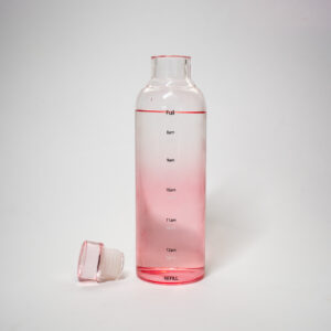 H2O Borosilicate Glass Bottle with Leak-Proof Lid, 500ml, Eco-Friendly (PINK)